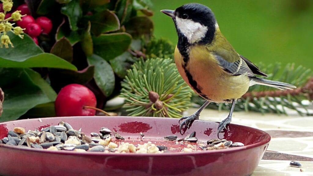 Emotional Eating vs. Physical Hunger