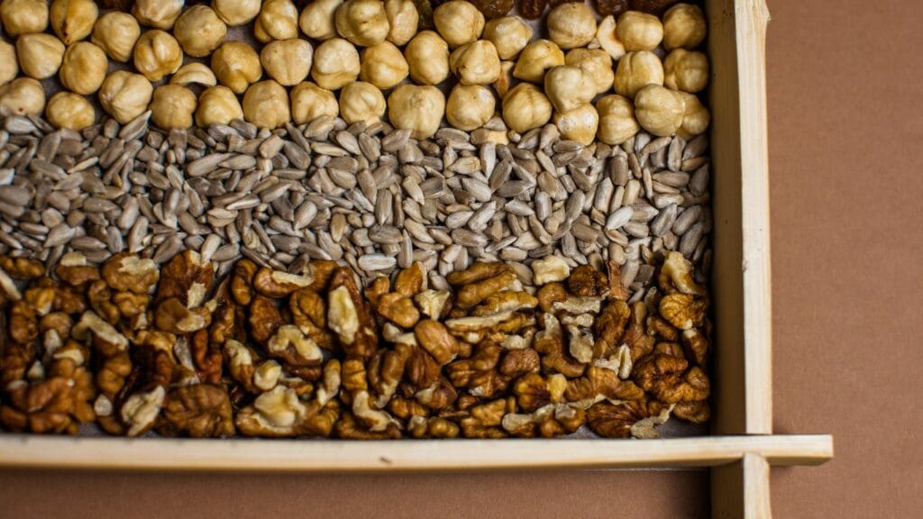 The Role of Nuts and Seeds in a Healthy Diet